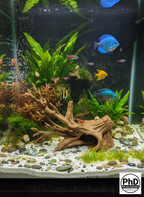Aquarium Driftwood Freshwater Fish Tank Decor & Reptile Terrarium Accessories - Natural Spiderwood Style Wood Stump Cave for Jumping Spider, Betta Fish & Axolotl Hide, NOV-DRHIDE-BR-L, NOV-DRHIDE-BE-L