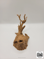 Aquarium Driftwood Freshwater Fish Tank Decor & Reptile Terrarium Accessories - Natural Spiderwood Style Wood Stump Cave for Jumping Spider, Betta Fish & Axolotl Hide