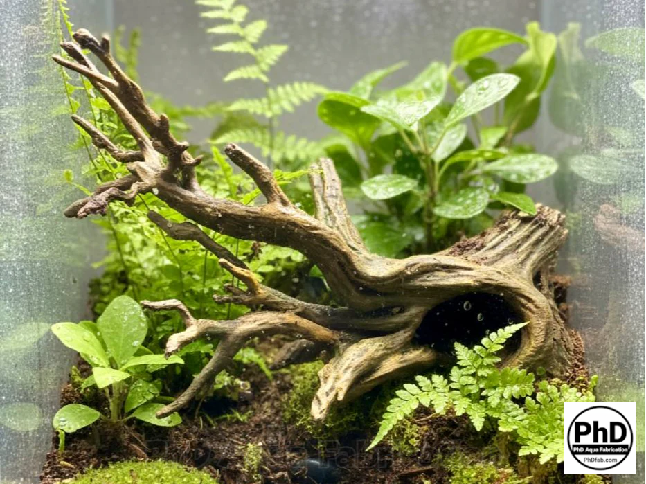 Aquarium Driftwood Freshwater Fish Tank Decor & Reptile Terrarium Accessories - Natural Spiderwood Style Wood Stump Cave for Jumping Spider, Betta Fish & Axolotl Hide, NOV-DRHIDE-BR-L, NOV-DRHIDE-BE-L