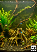 Aquarium Wood Decor Red Mangrove Caves - 3D Printed Natural Root Hideout for Fish & Shrimp - Mangrove Driftwood Style Terrarium Ornament