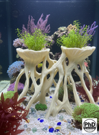 Aquarium Wood Decor Mangrove Root Planters - 3D Printed Mangrove Roots for Live Plants - Fish Tank & Terrarium Aquascaping Ornament