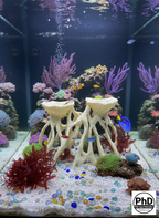 Aquarium Wood Decor Mangrove Root Planters - 3D Printed Mangrove Roots for Live Plants - Fish Tank & Terrarium Aquascaping Ornament, NOV-MANRPL-BR-L, NOV-MANRPL-BE-L