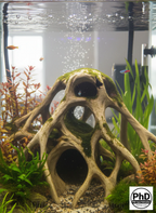 Aquarium Decor Red Mangrove Roots - 3D Printed Natural Look Wood Propagules for Freshwater & Saltwater Fish Tanks - Safe Aquascaping Driftwood Alternative & Terrarium Decoration