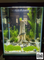 Aquarium Driftwood Decor - 3D Printed Wood Branch for Fish Tank & Reptile Terrarium, Realistic Aquascape - "Amazonian Driftwood", NOV-AMAZDR-BR-L, NOV-AMAZDR-BE-L