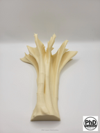 Aquarium Driftwood Decor - 3D Printed Wood Branch for Fish Tank & Reptile Terrarium, Realistic Aquascape - "Amazonian Driftwood"