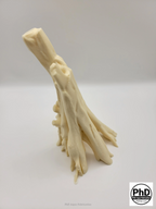 Mangrove Root Aquarium Driftwood - 3D Printed Tree Root for Reptile Terrarium, Realistic Aquascape Wood - "Mangrove Driftwood Root"