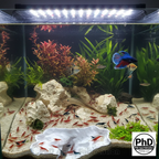 Aquarium Rift Decor - Fish Tank Hideout - Natural Rock Wall Ornament - "Driftaway Grotto", AQU-DGROTT-BR-L, AQU-DGROTT-WH-L, AQU-DGROTT-BE-L