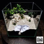 Aquarium Rift Decor - Fish Tank Hideout - Natural Rock Wall Ornament - "Driftaway Grotto"