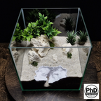 Aquarium Rift Decor - Fish Tank Hideout - Natural Rock Wall Ornament - "Driftaway Grotto"