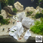 Aquarium Rift Decor - 3D Printed Rock Divider - Aquascaping Ornament & Reptile Terrarium Decoration - "Nowhere Hollow", AQU-NOWHOL-BR-L, AQU-NOWHOL-WH-L, AQU-NOWHOL-BE-L