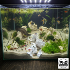 Aquarium Rift Decor - 3D Printed Rock Divider - Aquascaping Ornament & Reptile Terrarium Decoration - "Nowhere Hollow", AQU-NOWHOL-BR-L, AQU-NOWHOL-WH-L, AQU-NOWHOL-BE-L