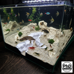 Aquarium Rift Decor - 3D Printed Rock Divider - Aquascaping Ornament & Reptile Terrarium Decoration - "Nowhere Hollow", AQU-NOWHOL-BR-L, AQU-NOWHOL-WH-L, AQU-NOWHOL-BE-L