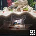 Aquarium Cave Decor - Underground Tunnel & Root Cavern - Natural Look Aquascaping & Terrarium Ornament - "Sunflower Root Cavern"