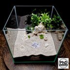 Aquarium Cave Decor - Underground Tunnel & Root Cavern - Natural Look Aquascaping & Terrarium Ornament - "Sunflower Root Cavern"