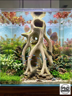 Aquarium Wood Decor - Tall 3D Printed Natural Look Wood Propagules for Vertical Aquascaping - "High Mangrove Roots"