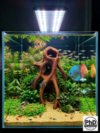 Aquarium Wood Decor - Tall 3D Printed Natural Look Wood Propagules for Vertical Aquascaping - "High Mangrove Roots", NOV-HIGMAN-BR-L, NOV-HIGMAN-BE-L