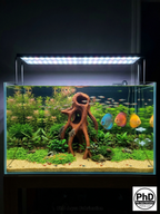 Aquarium Wood Decor - Tall 3D Printed Natural Look Wood Propagules for Vertical Aquascaping - "High Mangrove Roots", NOV-HIGMAN-BR-L, NOV-HIGMAN-BE-L