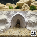 Aquarium Decor Cave - Underground Sanctuary for Fish - Reptile & Amphibian Terrarium Accessory - "Do Not Enter Den", AQU-DONOTE-BR-L, AQU-DONOTE-WH-L, AQU-DONOTE-BE-L