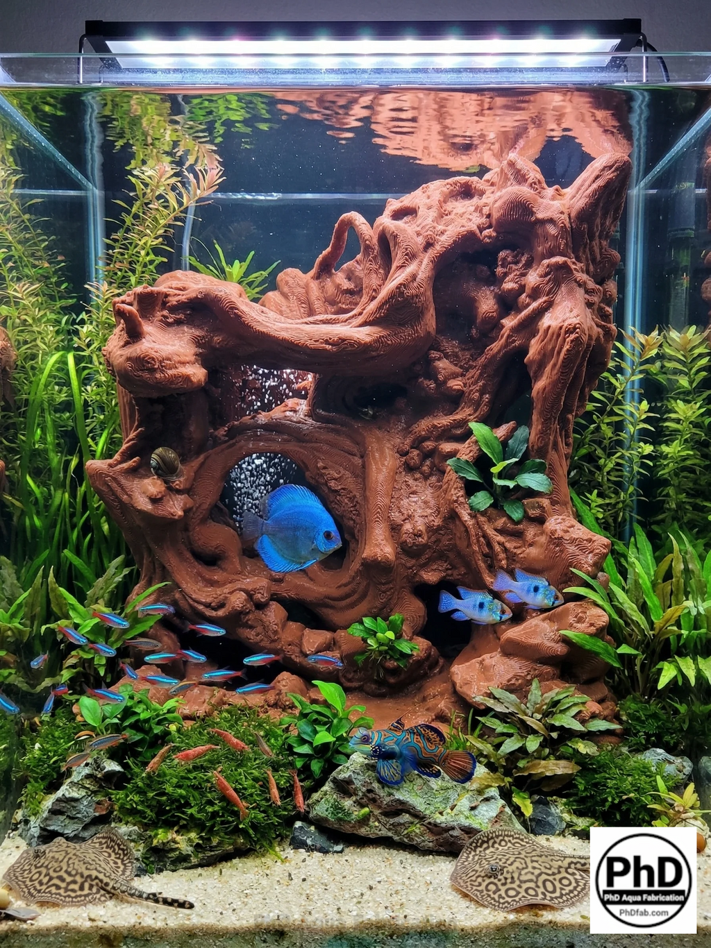 Terrarium Background Wall – Dimensions to Fit Your Tank - 3D Wood Decoration for Aquascaping, NOV-STRROO-BR-L, NOV-STRROO-BE-L