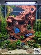 Terrarium Background Wall – Dimensions to Fit Your Tank - 3D Wood Decoration for Aquascaping, NOV-STRROO-BR-L, NOV-STRROO-BE-L