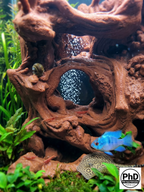 Terrarium Background Wall – Customizable Dimensions to Fit Your Tank - 3D Wood Decoration for Aquascaping
